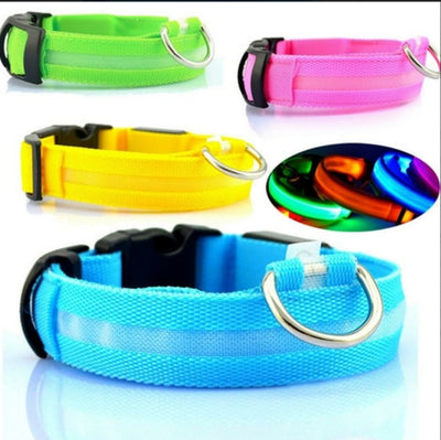 USB Rechargeable LED Dog Collar – Military-Bright Night Safety Collar (All Sizes)