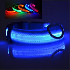 USB Rechargeable LED Dog Collar – Military-Bright Night Safety Collar (All Sizes)