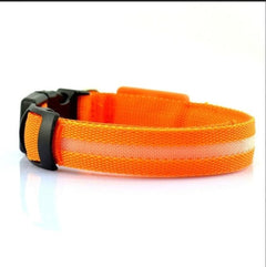 USB Rechargeable LED Dog Collar – Military-Bright Night Safety Collar (All Sizes)