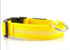 USB Rechargeable LED Dog Collar – Military-Bright Night Safety Collar (All Sizes)